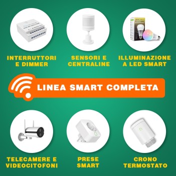 Telecamera di sicurezza Wi-fi Speed 12S Visione a 360°