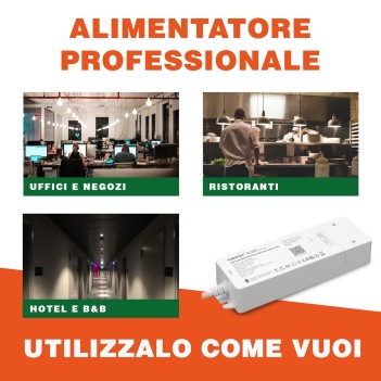 Miboxer MiLight WL2-P Alimentatore e Controller Smart Wifi