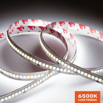 Striscia Led 130W 14500lm 24V IP20 PCB 10mm Bobina da 1200