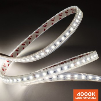 Buy Led Strip 72W 8000lm 24V IP67 PCB 10mm 600 EN