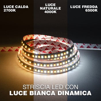 Striscia Led CCT 140W 24V 20.000lm Dual White 2700K - 6000K IP20 PCB 10mm Bobina da 960 smd 2835