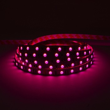 Striscia Led RGB 72W 24V IP20 PCB 10mm Bobina da 300 SMD 5050