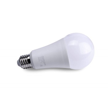 Lampadina Led E27 19W 2600lm Diametro 67mm en