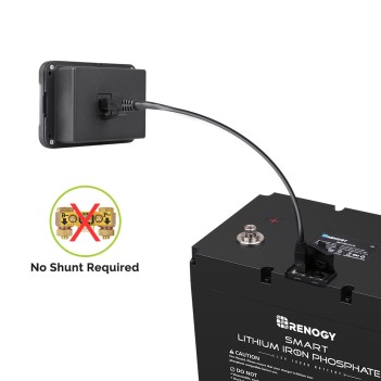 Renogy Battery Monitor per la serie Batterie al Litio