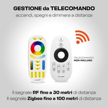 Zigbee 2-in-1 receiver: for single-colour LED strips and Dual White CCTs