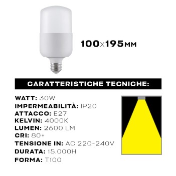 King Led | Lampadina Led Bulbo T100 Attacco E27 30W 2600lm 4000K