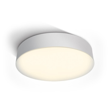 Ceiling Light 21W 1300lm 4000K D320 IP65 White Colour