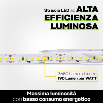 KING LED | Striscia Led ad alta efficienza luminosa 96W 24V 18.250 lm