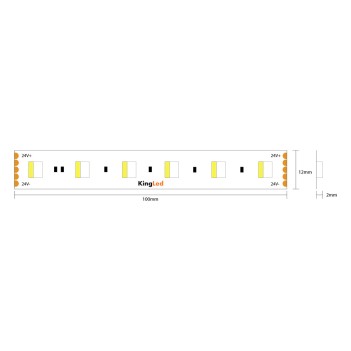 Striscia Led 24V 96W RGBW 5mt 300 SMD 5050 da Interno IP20