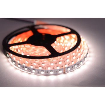 Led Strip 24V 96W RGBW 5mt 300 SMD 5050 Outdoor IP65 en