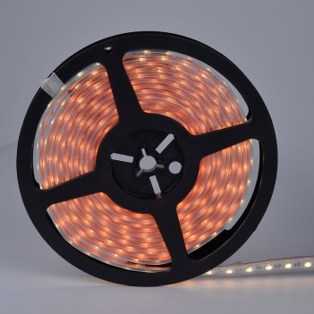 Led Strip 24V 96W RGBW 5mt 300 SMD 5050 Outdoor IP65 en