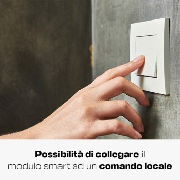 KW-GOM Modulo per saracinesca/cancello Smart 1 CH AC 230V -