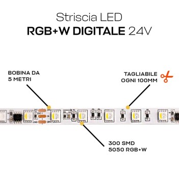 KING LED | Striscia LED RGB+W Digitale 24V UCS2904B 5 metri 19W/mt