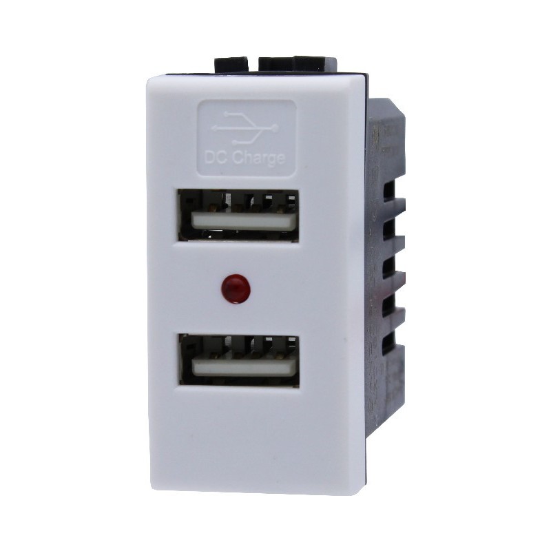Presa con 2X Porta USB 5V 1A AC/DC da 1 Modulo Bianco - Serie