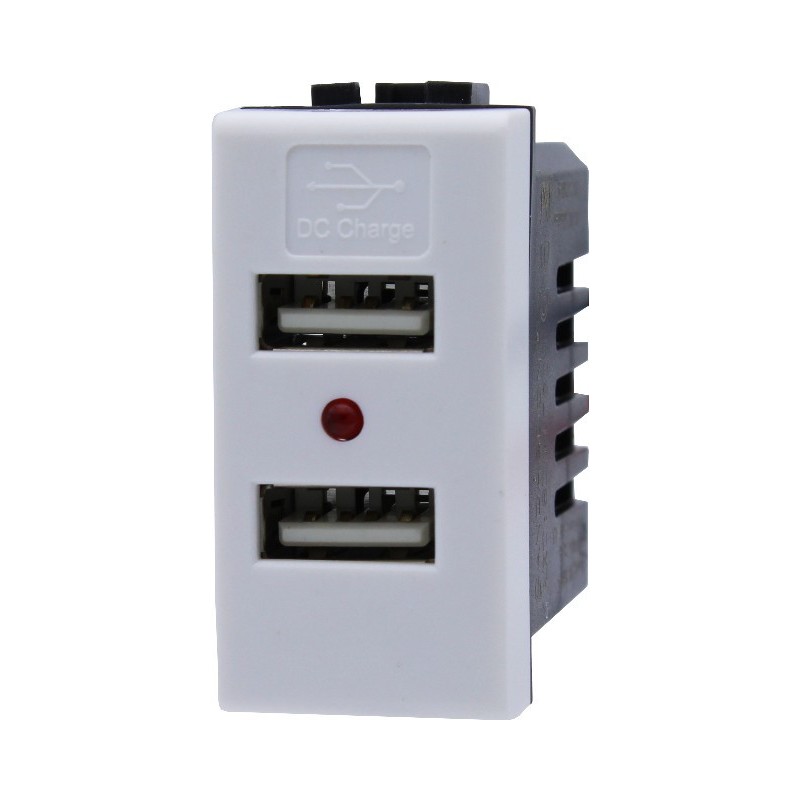 PRESA CON 2X PORTA USB 5V 1A AC/DC DA 1 MODULO BIANCO - SERIE LUTE en