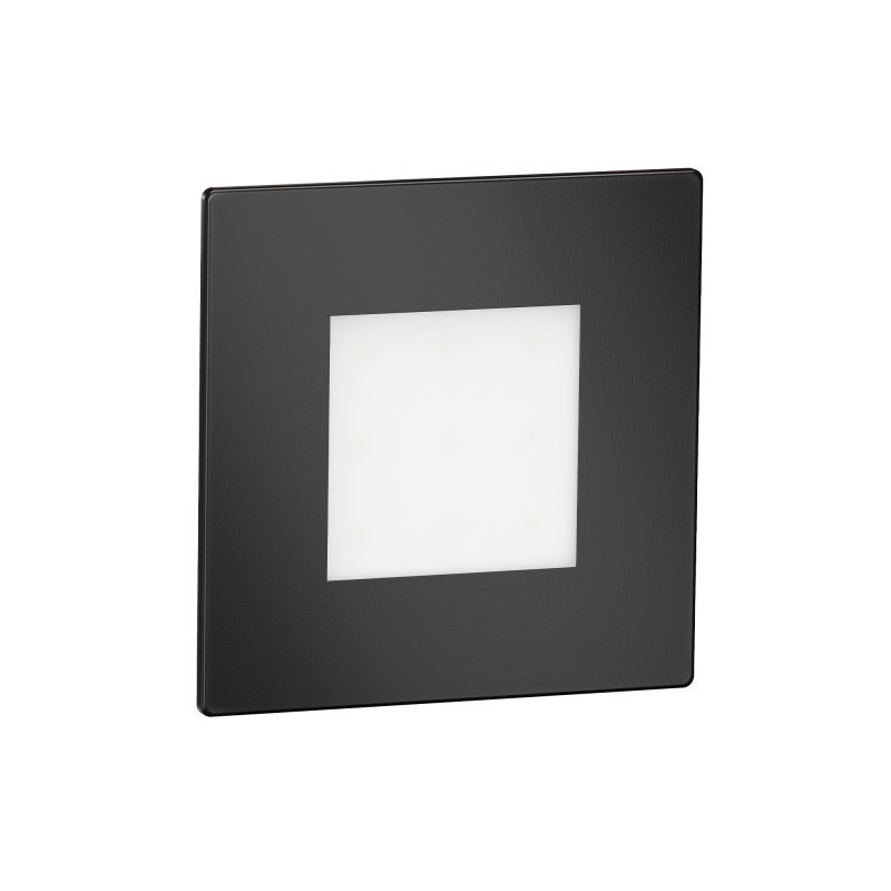 Segnapasso Applique da Muro 1W 40lm 220V IP65 – FEX Nero su