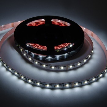 Striscia Led 24V 144W RGB+CCT Luce Colorata e Kelvin