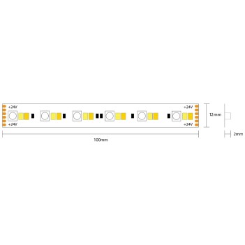 Striscia Led 24V 144W RGB+CCT Luce Colorata e Kelvin Variabili IP20 5mt en