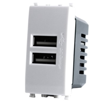 Presa USB Doppio 1 Modulo T2 Bianco / Nero / Silver Compatibile