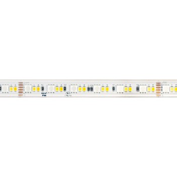Striscia Led 24V 144W RGB+CCT Luce Colorata e Kelvin