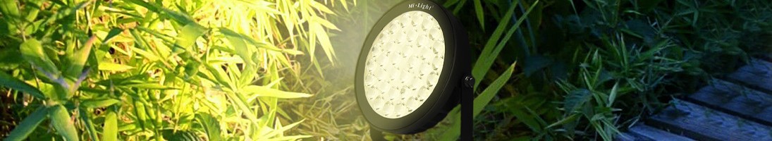 Outdoor Smart Lights